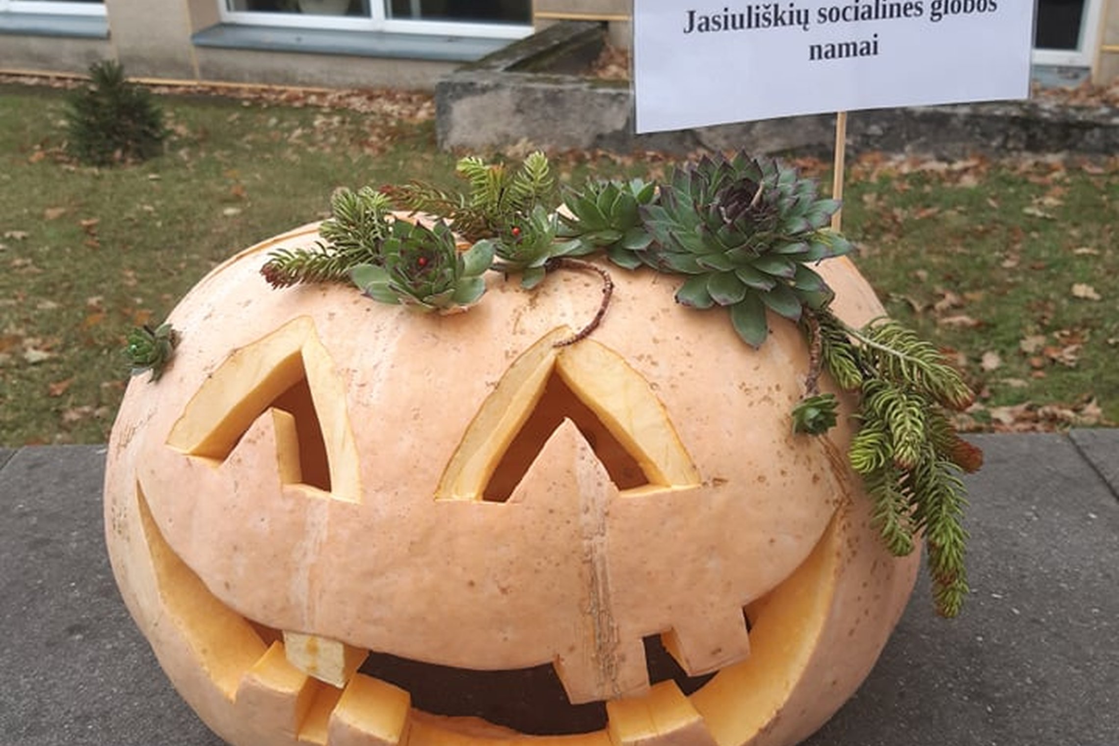 Iliustracija