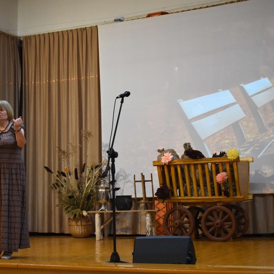 Iliustracija