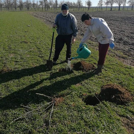 Iliustracija