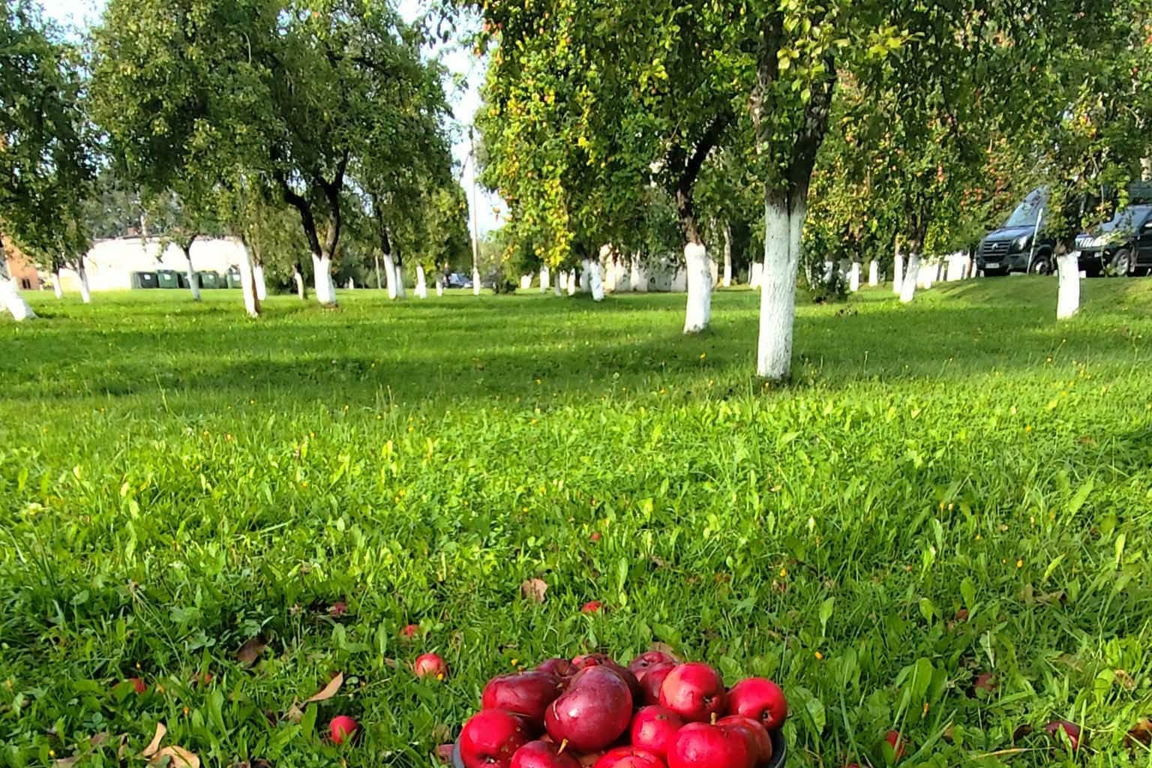 Iliustracija