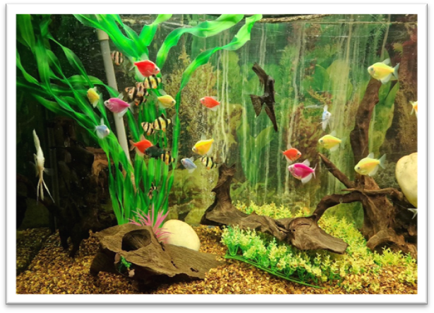 image051.png